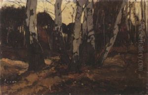 Birchtrees by Xeno Muenninghoff