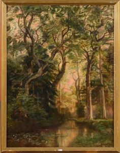Le Ruisseau Aux Nenuphars En Foret by Antonio Munoz Degrain