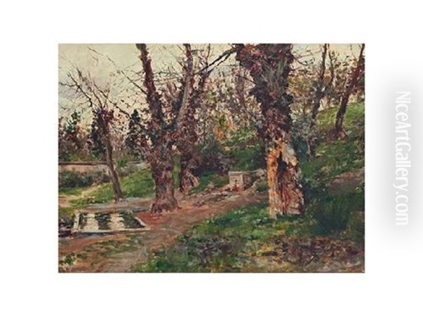 Arboleda - view 1