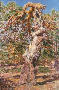 Arbol Arbol