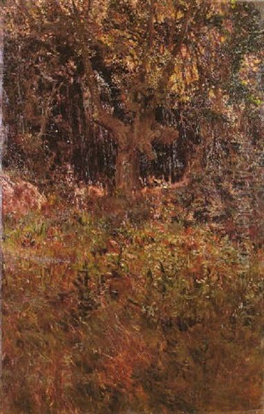 Bosque En Primavera - view 1