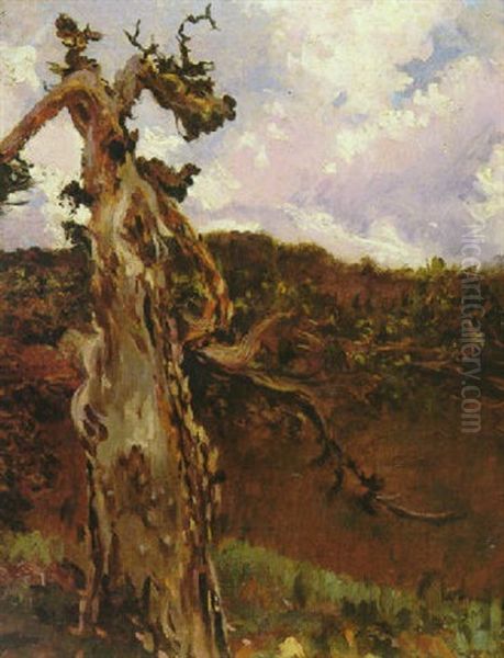 El Arbol Seco - view 1
