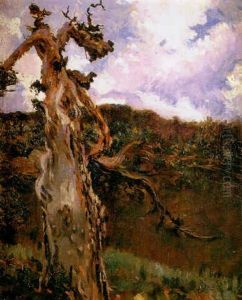 Paisaje Con Arbol Paisaje Con Arbol