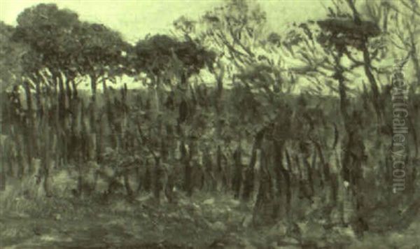 Pinares - view 1