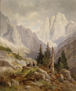 Gamsen Im Hochgebirge