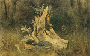 Waldstuck Waldstuck