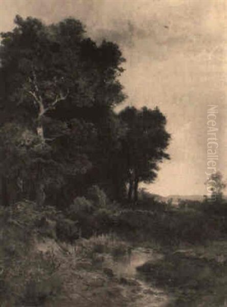 Driving Cattle On A Woodland Path - view 1