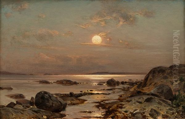 Summer Night - view 1