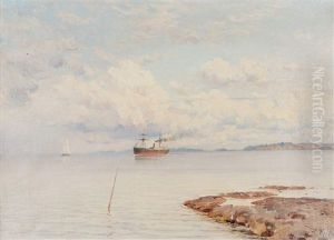 Archipelago by Magnus Hjalmar Munsterhjelm