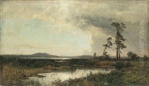 Grassland by Magnus Hjalmar Munsterhjelm