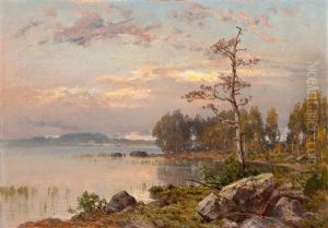 Autumn Morning