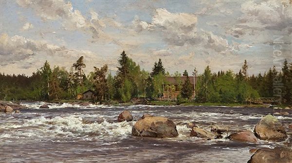 Langinkoski Rapids - view 1