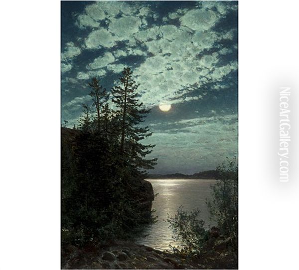 Moonlight - view 1