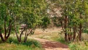 Birches In Summer