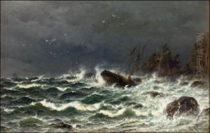 Haaksirikko by Magnus Hjalmar Munsterhjelm