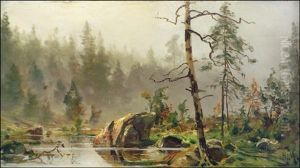 Usva