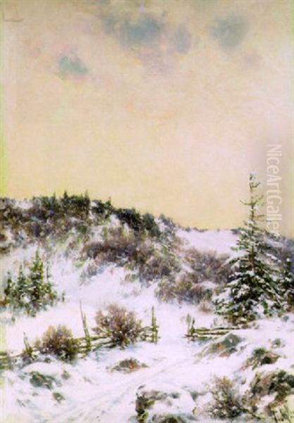 Aidanrako Talvella - view 1
