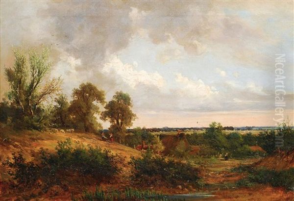 Norddeutsche Landschaft Mit Schafherde - view 1