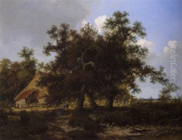 Eichenpartie Mit Bauernhaus Bei Bremen - view 1