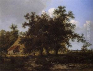 Eichenpartie Mit Bauernhaus Bei Bremen