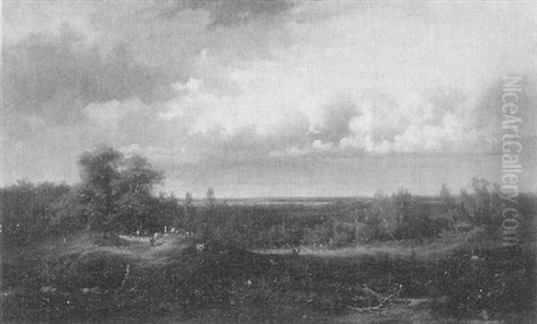 Weite Bewaldete Landschaft Im Schein Der Spatnachmittagssonne - view 1