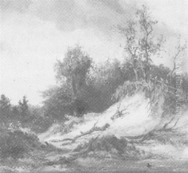 Landschaft Mit Teich Und Sandabbruch - view 1