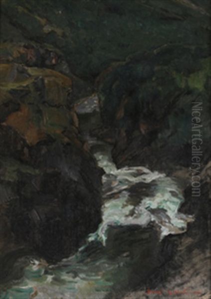 Elveparti Fra Driva - view 1