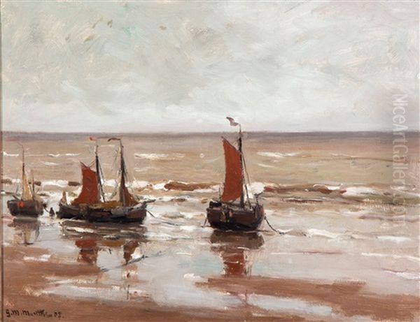 Bomschuiten Op Het Strand - view 1