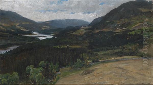 Aurdal I Valdres - view 1