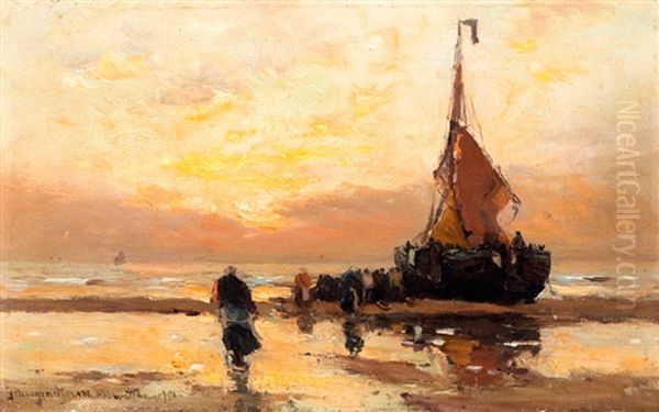 Bomschuit Op Strand Bij Zonsondergang - view 1