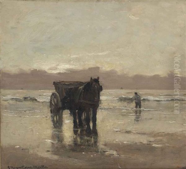Seaweed Gathering - view 1