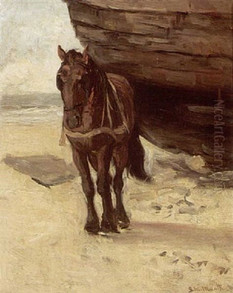 A Horse Near A Bomschuit - view 1