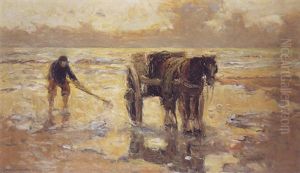 A Shellfisher On The Beach