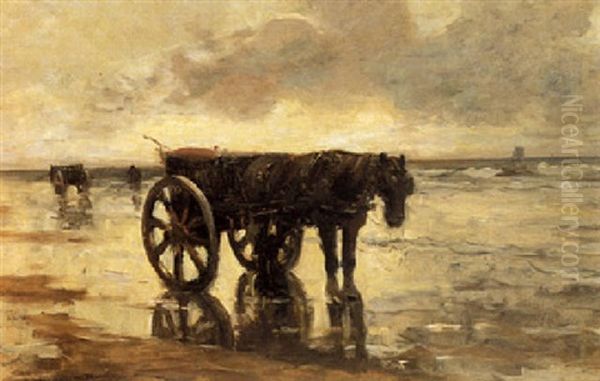 A Shellfisher On The Beach - view 1