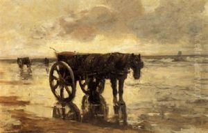 A Shellfisher On The Beach