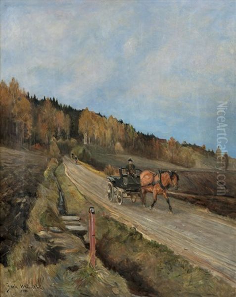 On The Road With Horse And Carriage - view 1