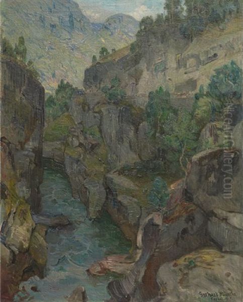 Norsk Lakseelv I Laerdal - view 1