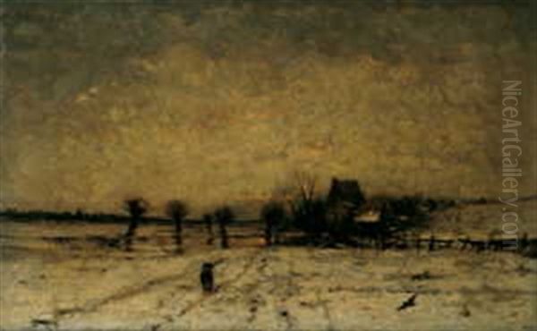 Winterliche Niederrheinlandschaft - view 1