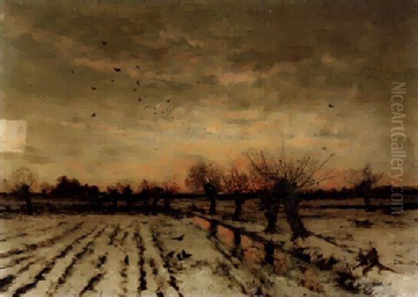 Winterabend Am Niederrhein - view 1