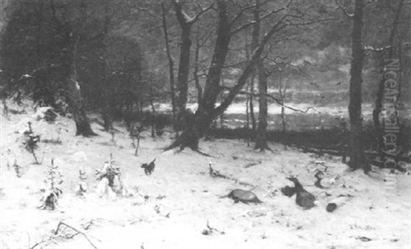 Verschneiter Winterwald - view 1