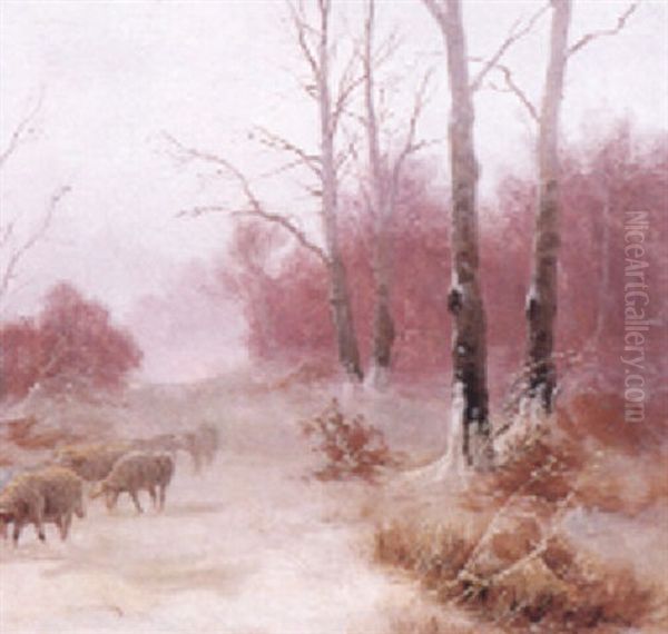 Verschneite Winterlandschaft Mit Vorbeiziehenden Schafen - view 1