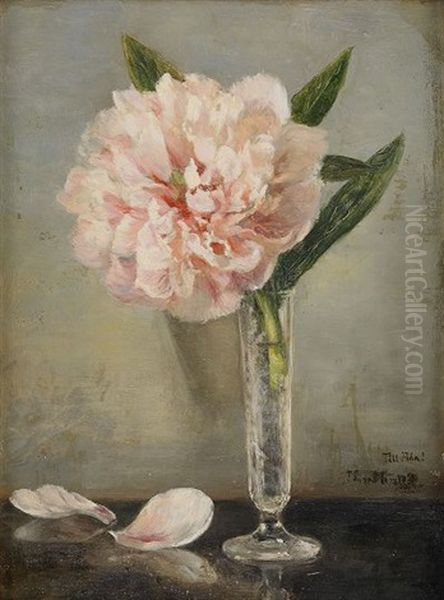 Stilleben Med Pion - view 1