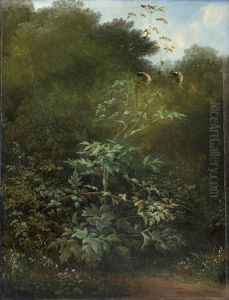 Wiesenstuck Mit Barenklau Und Einer Brombeerranke