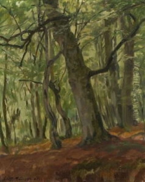 Waldinneres - view 1