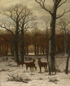 Rotwild Im Winterwald