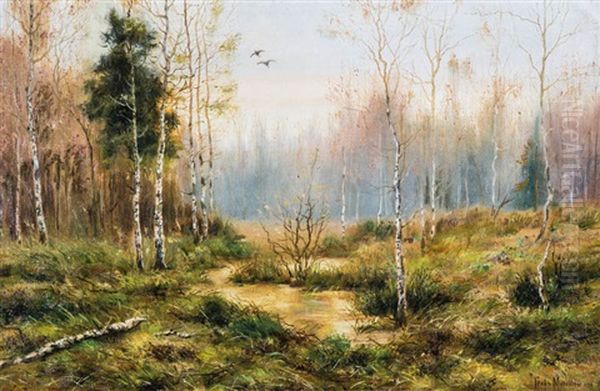 Early Morning - Landscape With Duckes - view 1