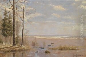 Sommer - Enten Am Fluss