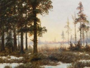 Waldlichtung An Einem Sonnigen Spatwintertag