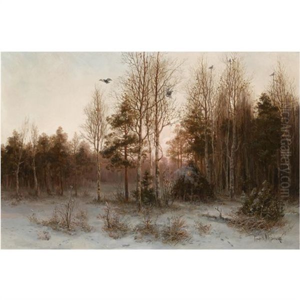 Forest At Twilight - view 1