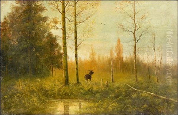Metsamaisema (a Forest Landscape) - view 1